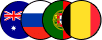 flags icon